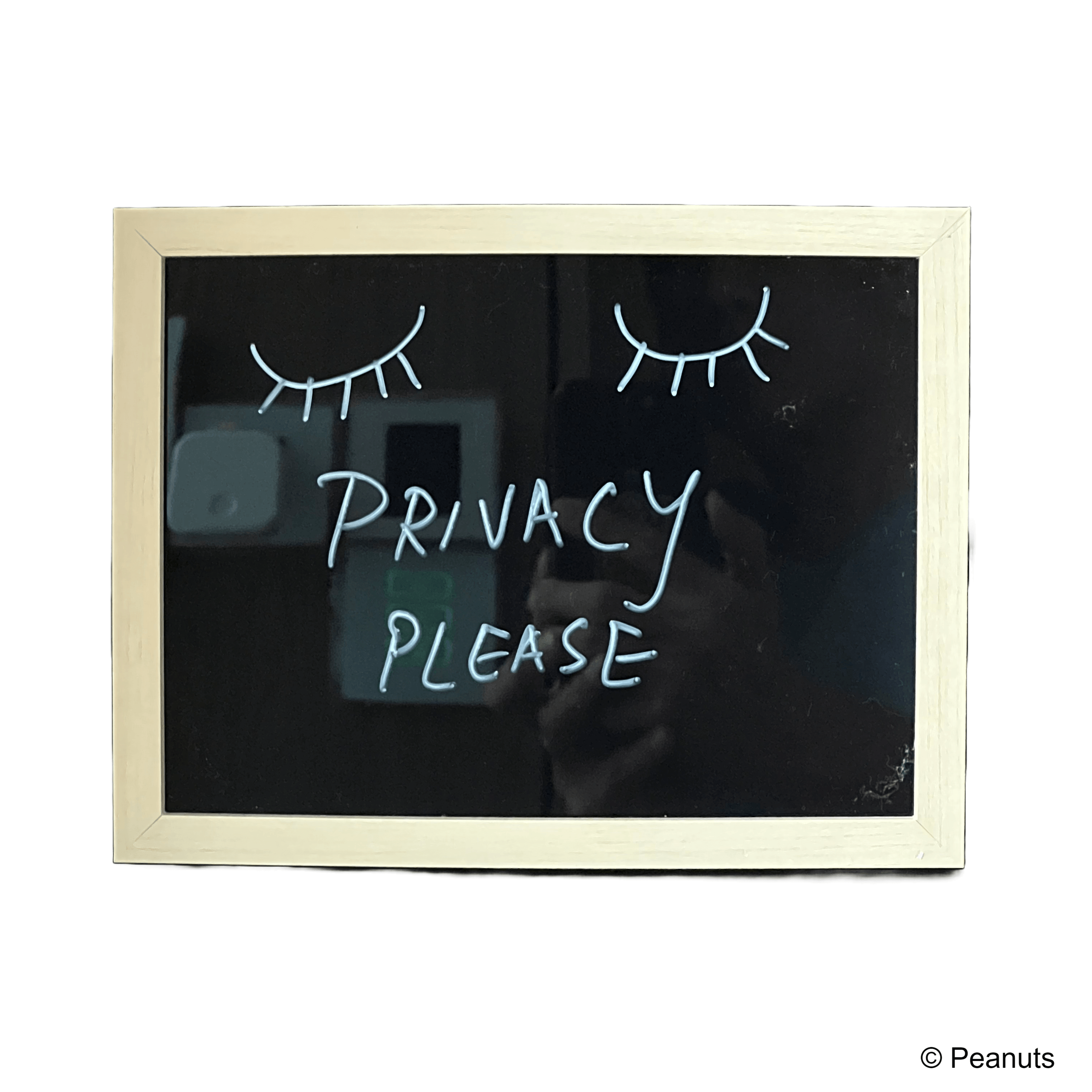 Peanuts - WOW Lightbox Snoopy Red House - KLOSH