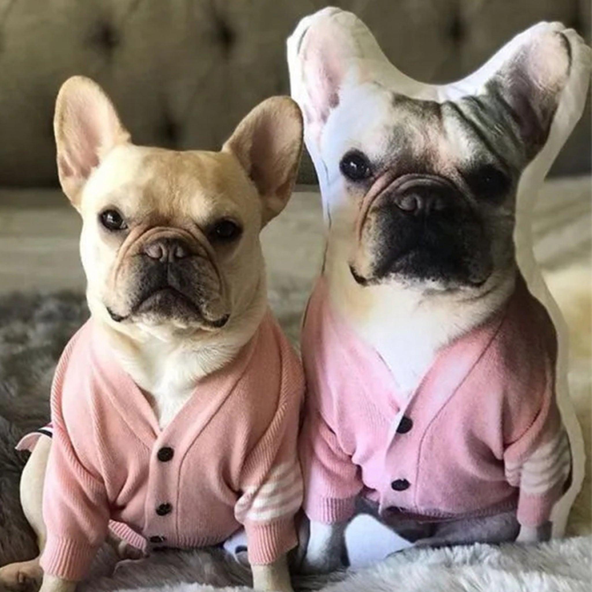 Custom Pet Pillow - KLOSH