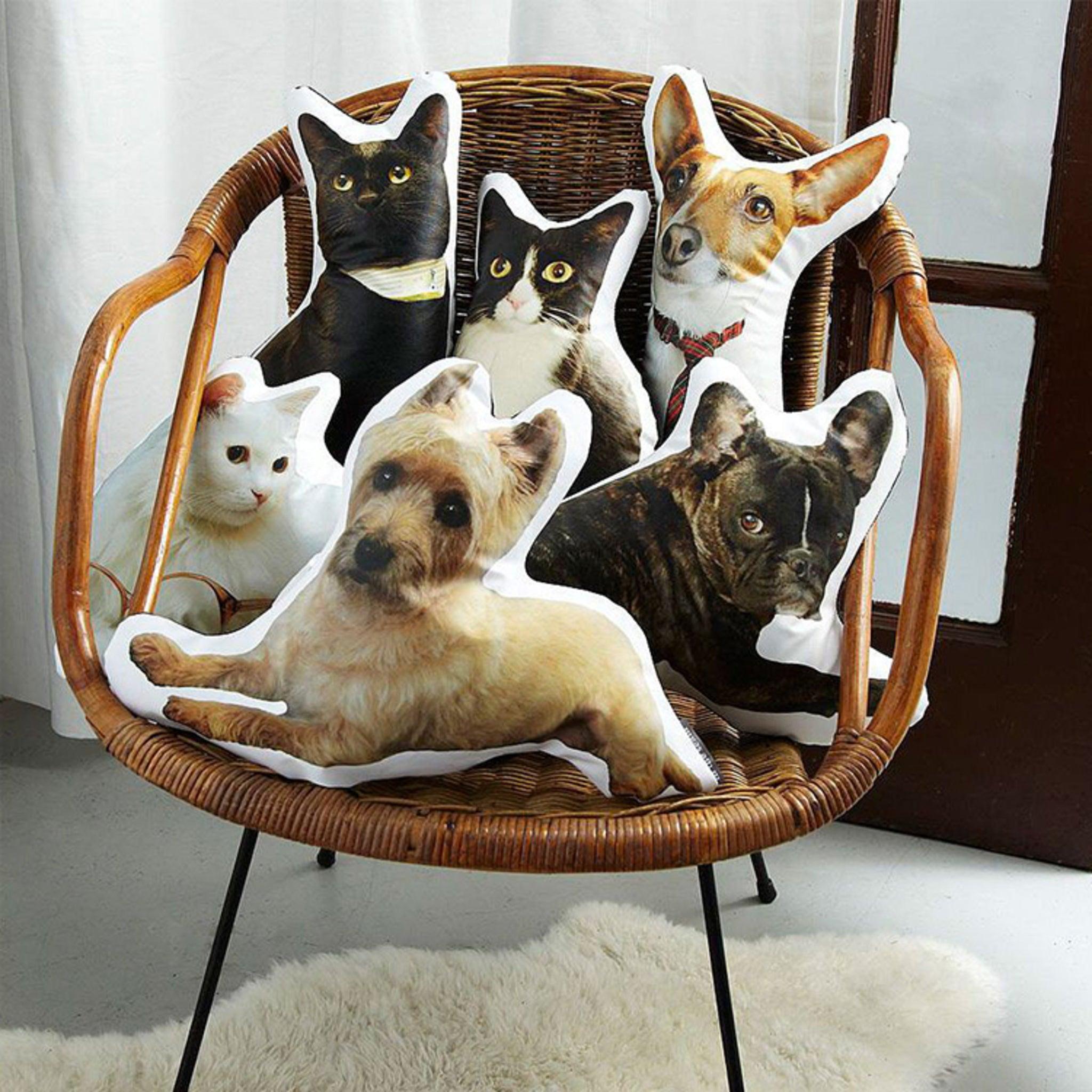 Custom Pet Pillow - KLOSH