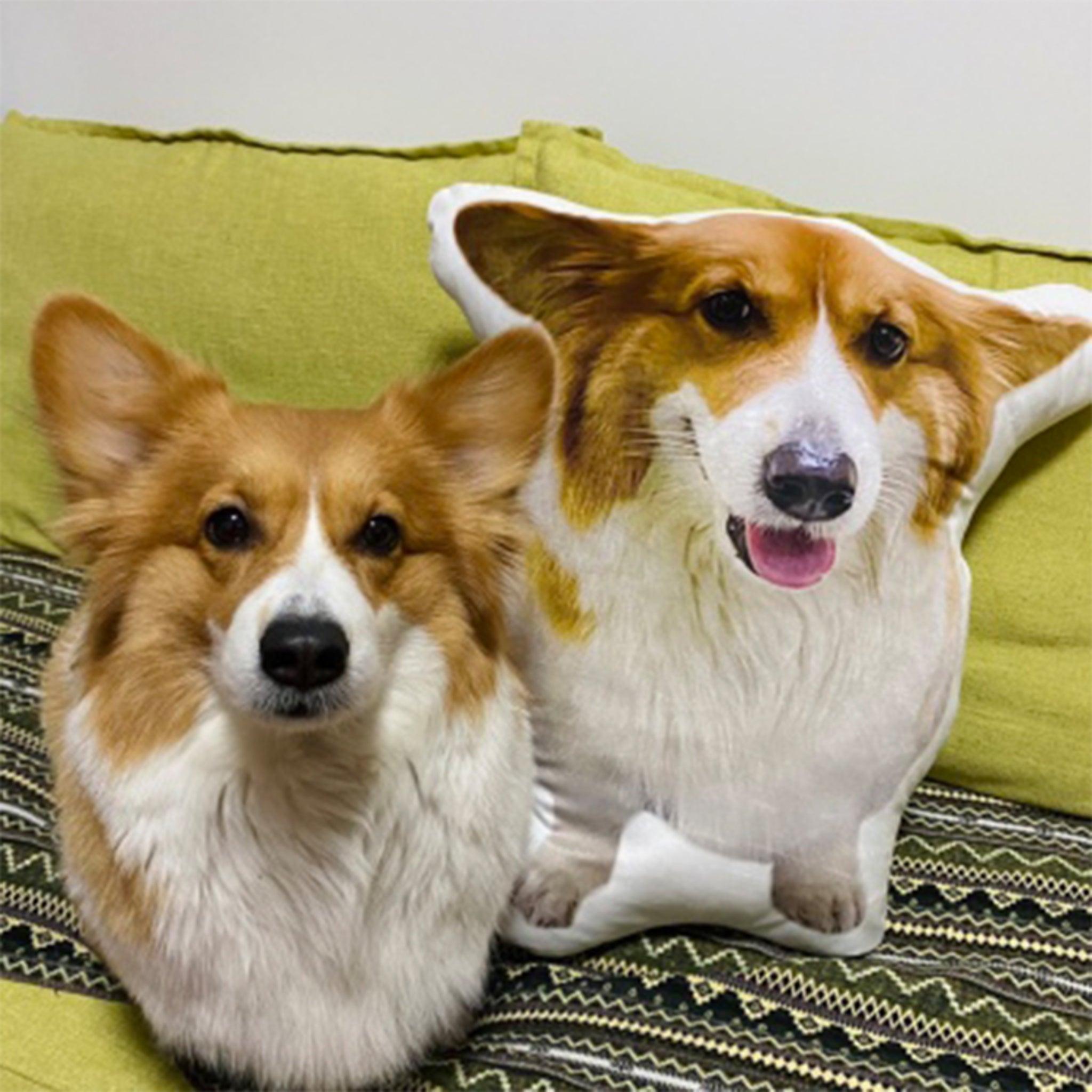 Custom Pet Pillow - KLOSH