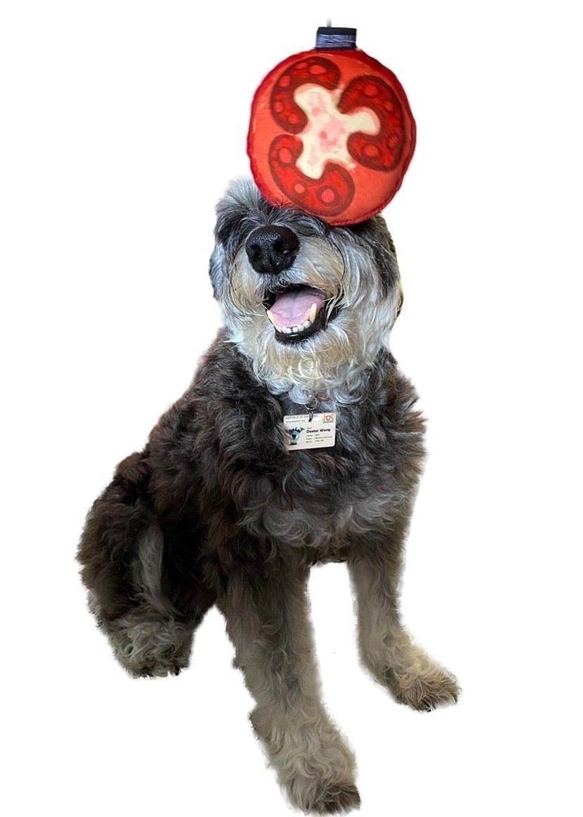 Dog Toy - Squeakie (Tomato) - KLOSH