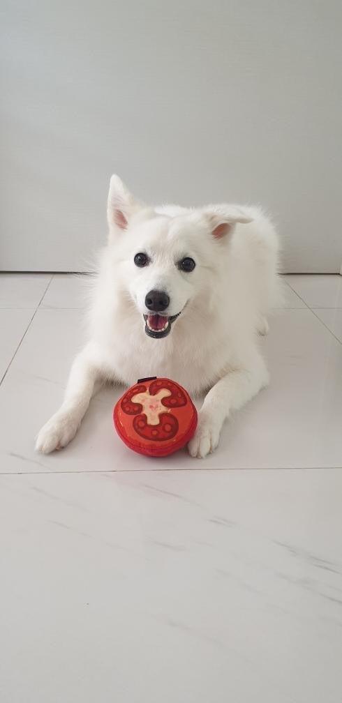 Dog Toy - Squeakie (Tomato) - KLOSH