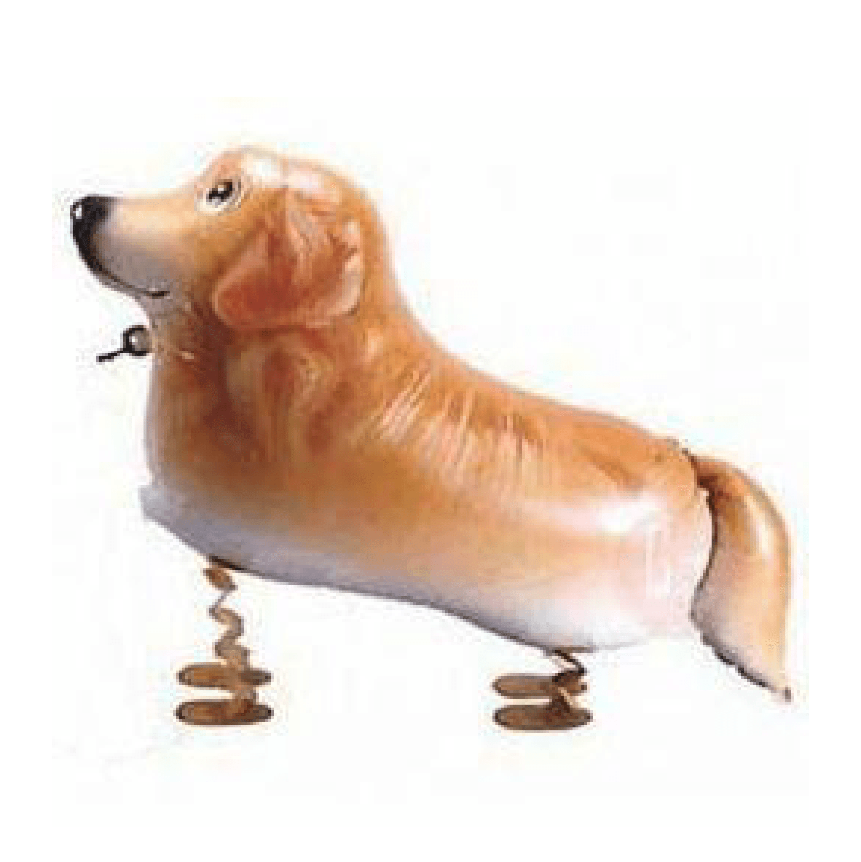 Walking Pet Balloon - Dachshund - KLOSH