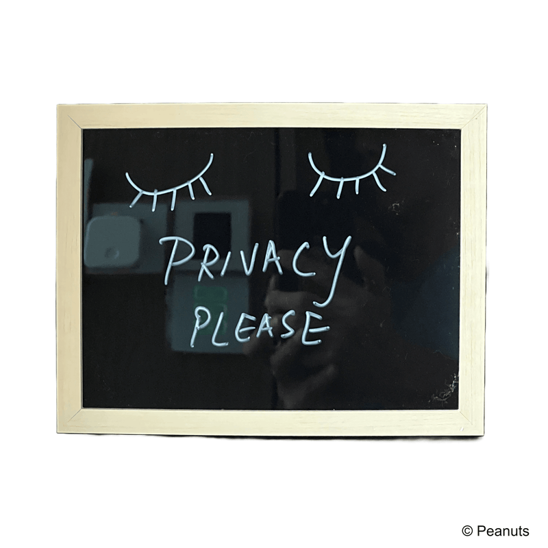 Peanuts - WOW Lightbox Snoopy Fish - KLOSH