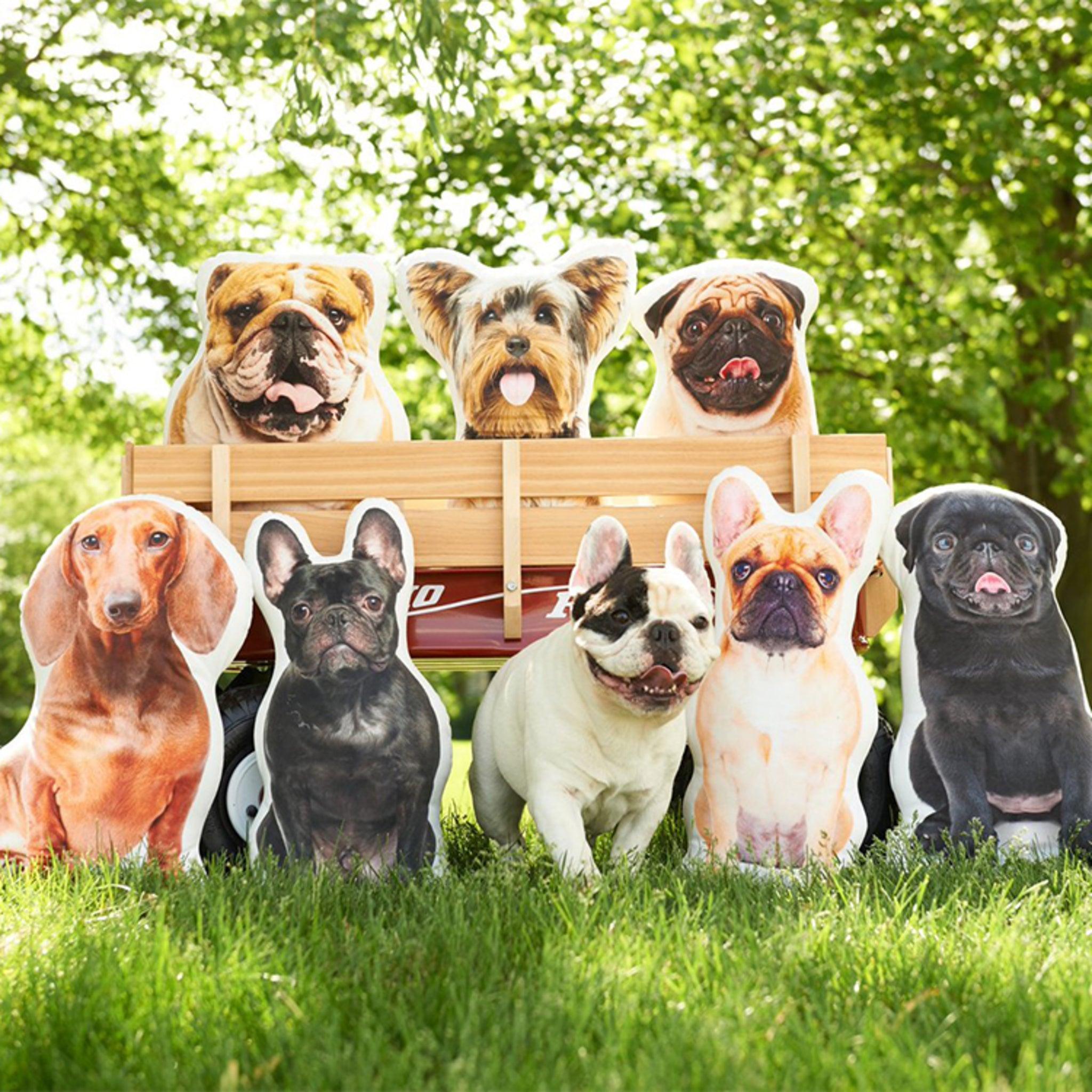 Custom Pet Pillow - KLOSH