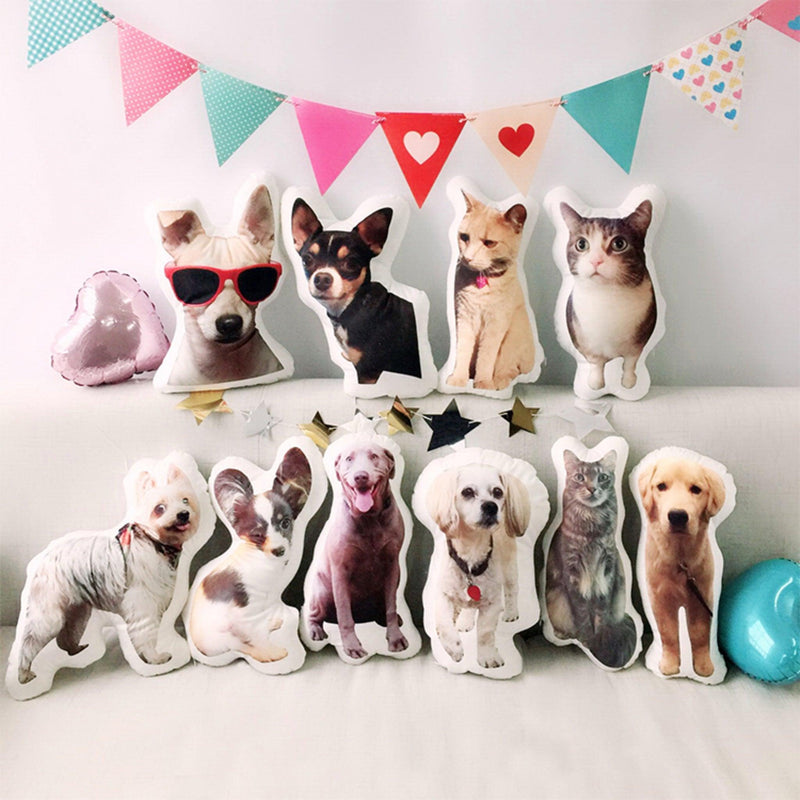 Custom Pet Pillow I Klosh Customised Gifts KLOSH