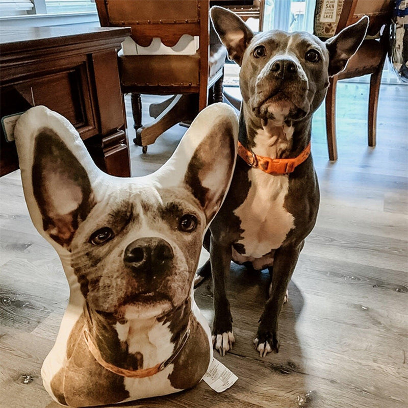 Personalised dog pillows outlet