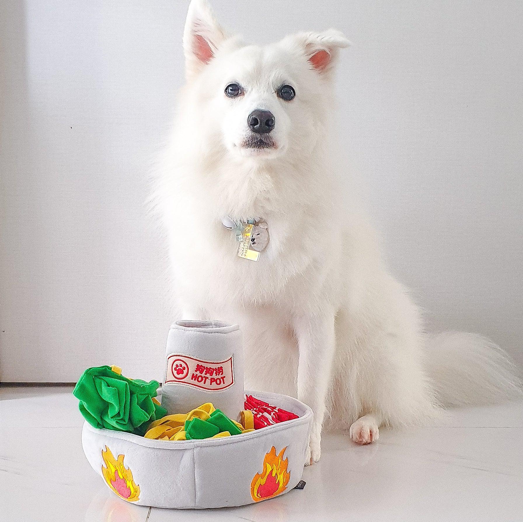 Dog Toy - Hot Pot Interactive Nosework - KLOSH