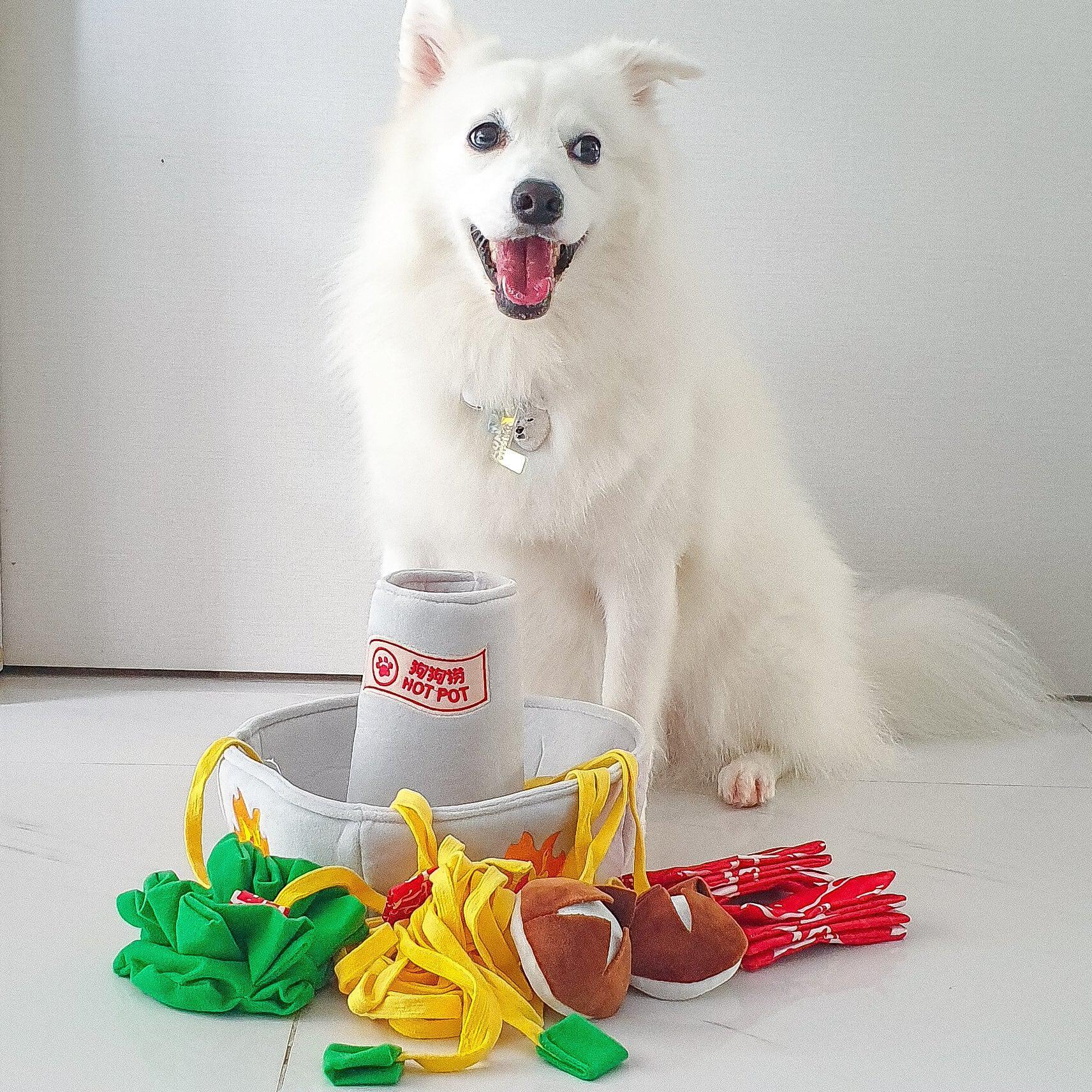 Dog Toy - Hot Pot Interactive Nosework - KLOSH