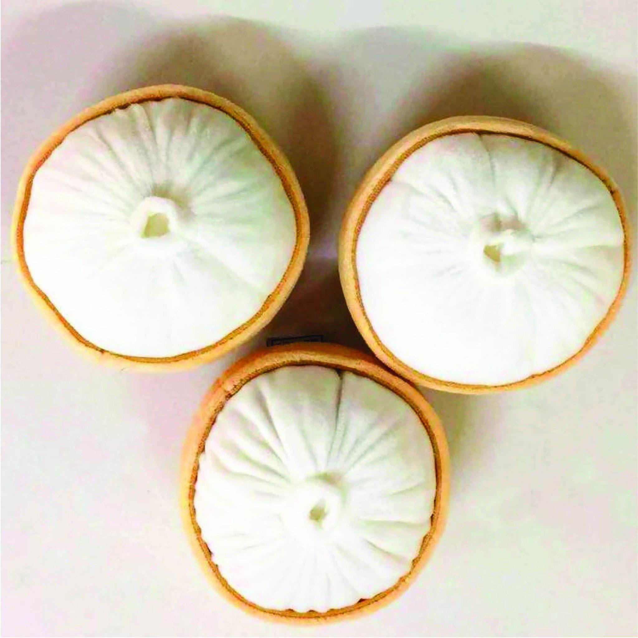 Dog Toy - Squeaky (Xiao Long Bao) - KLOSH