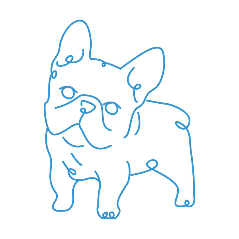 Neon Sign - French Bulldog - KLOSH