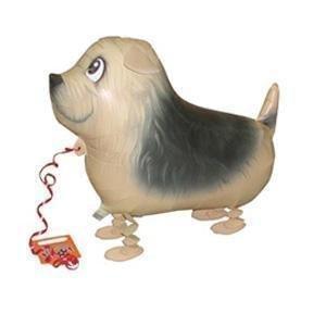 Walking Pet Balloon - Norfolk Terrier Puppy - KLOSH