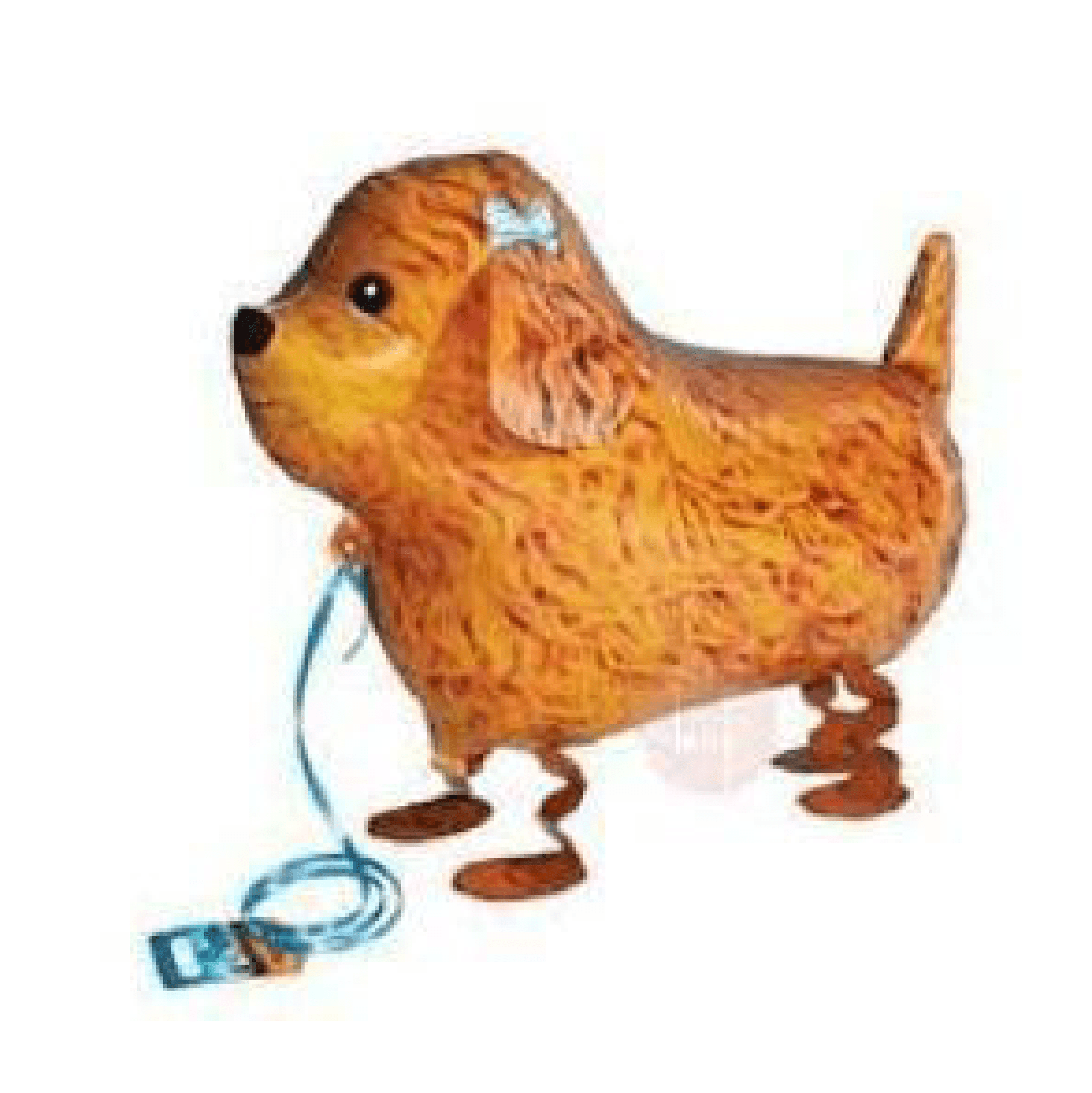 Walking Pet Balloon - Toy Poodle - KLOSH